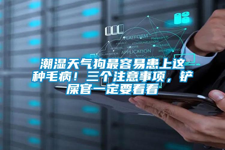 潮濕天氣狗最容易患上這種毛病!三個(gè)注意事項(xiàng),鏟屎官一定要看看