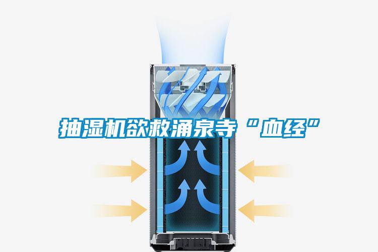 抽濕機欲救涌泉寺“血經”