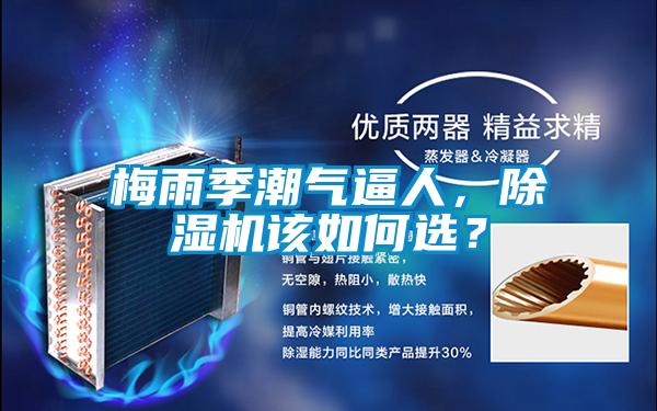 梅雨季潮氣逼人,除濕機(jī)該如何選?