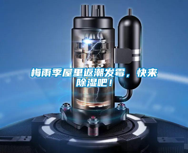 梅雨季屋里返潮發霉，快來除濕吧！