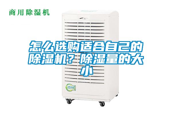 怎么選購適合自己的除濕機(jī)？除濕量的大小