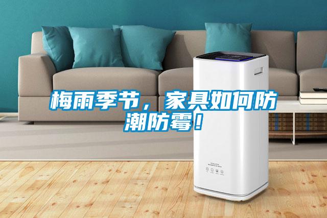 梅雨季節，家具如何防潮防霉！