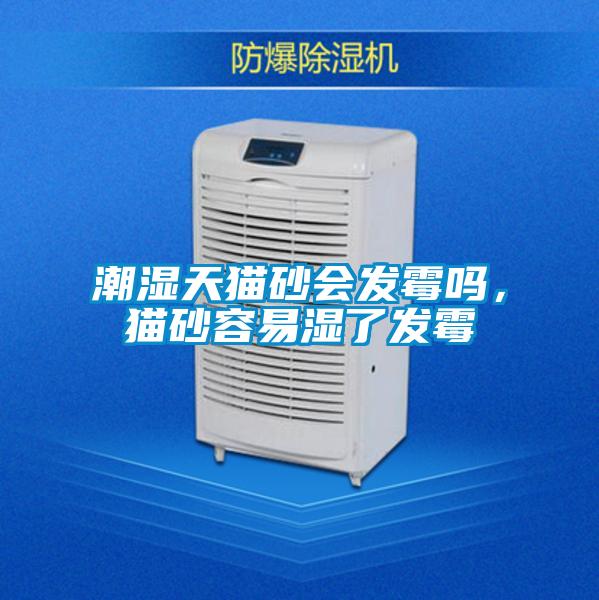 潮濕天貓砂會發霉嗎，貓砂容易濕了發霉