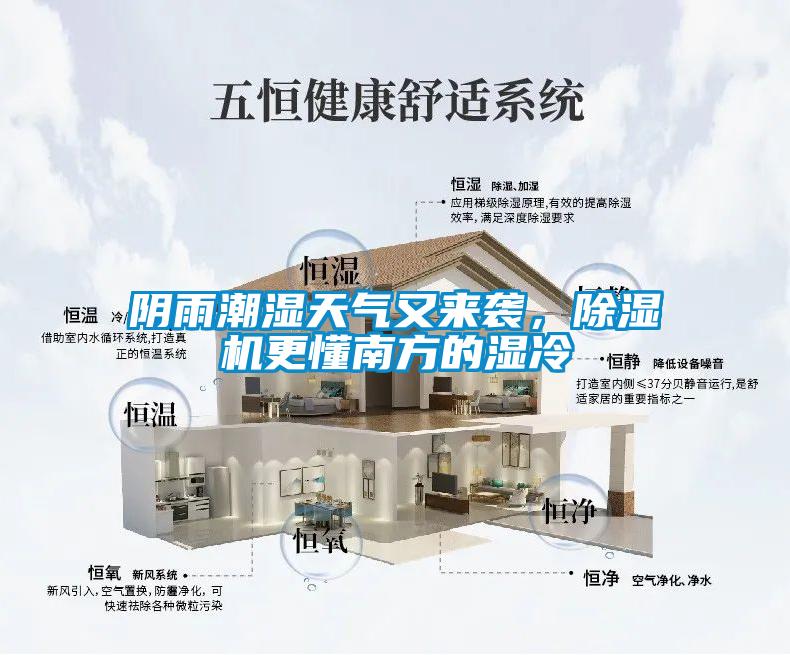 陰雨潮濕天氣又來襲,除濕機更懂南方的濕冷