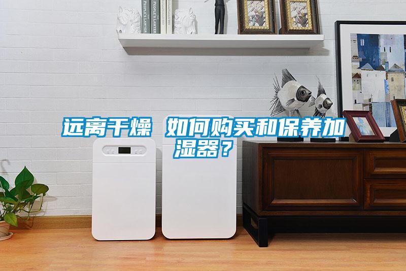 遠離干燥 如何購買和保養加濕器?
