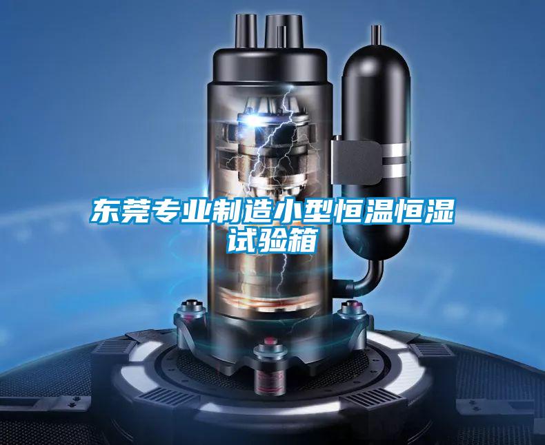 東莞專業制造小型恒溫恒濕試驗箱