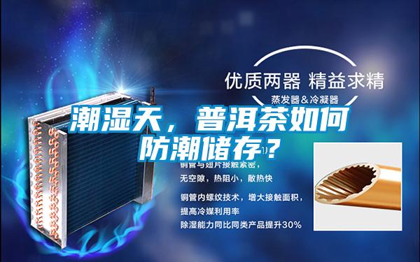 潮濕天,普洱茶如何防潮儲(chǔ)存?