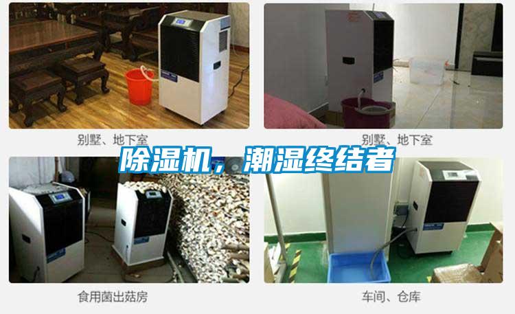 除濕機(jī),潮濕終結(jié)者