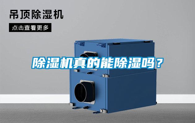 除濕機真的能除濕嗎？