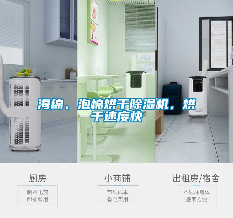 海綿、泡棉烘干除濕機(jī),烘干速度快