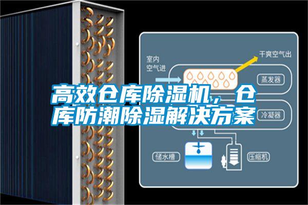 高效倉庫除濕機，倉庫防潮除濕解決方案