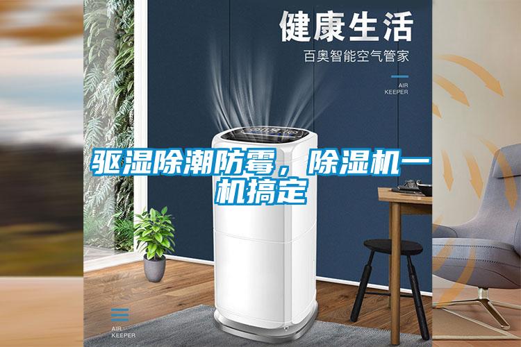 驅濕除潮防霉,除濕機一機搞定
