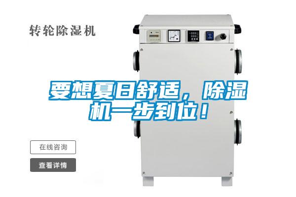 要想夏日舒適，除濕機一步到位！