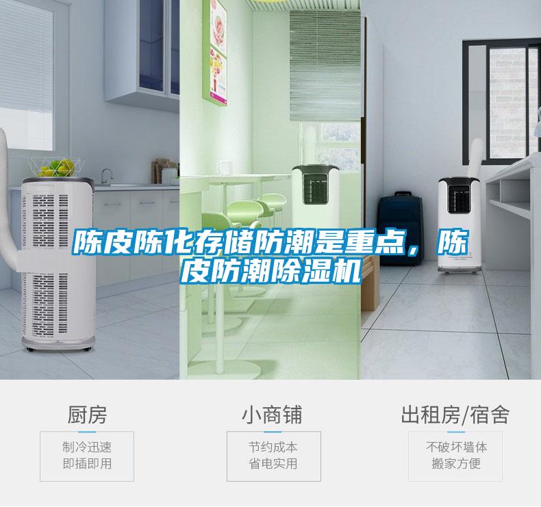 陳皮陳化存儲防潮是重點,陳皮防潮除濕機