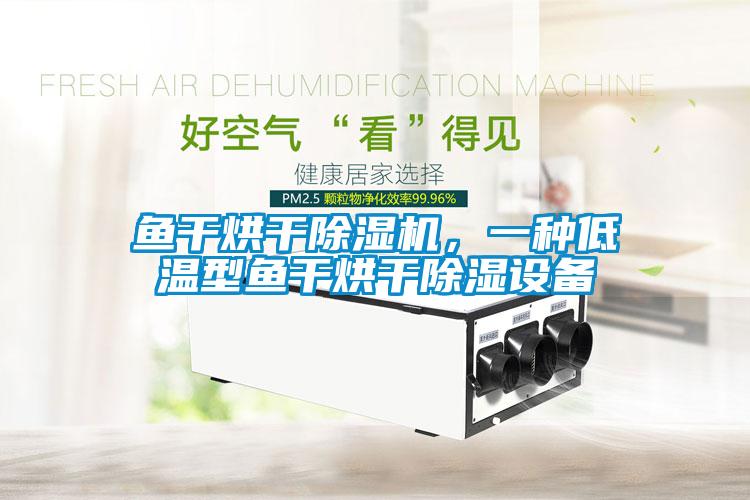 魚干烘干除濕機,一種低溫型魚干烘干除濕設備