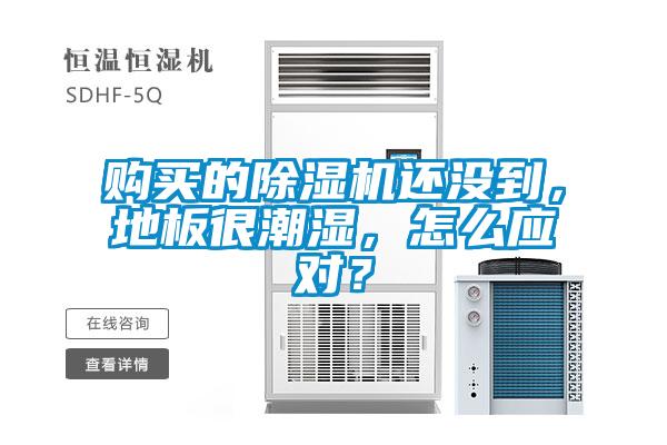 購買的除濕機(jī)還沒到，地板很潮濕，怎么應(yīng)對？