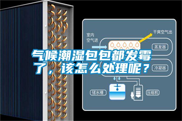 氣候潮濕包包都發霉了，該怎么處理呢？