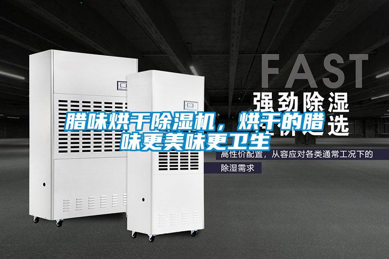 臘味烘干除濕機，烘干的臘味更美味更衛(wèi)生