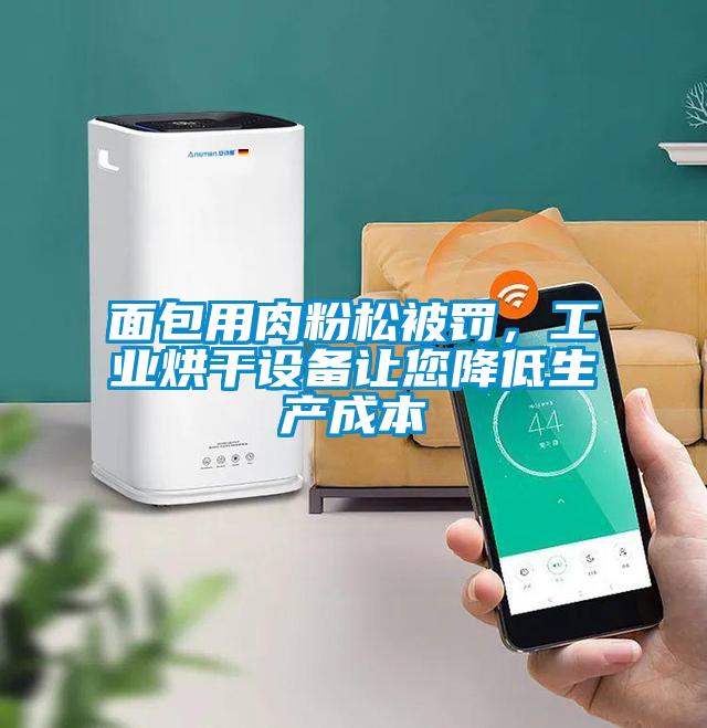 面包用肉粉松被罰，工業烘干設備讓您降低生產成本