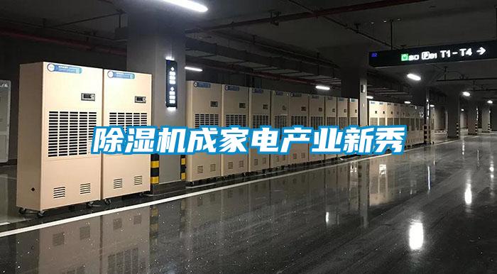 除濕機成家電產業新秀