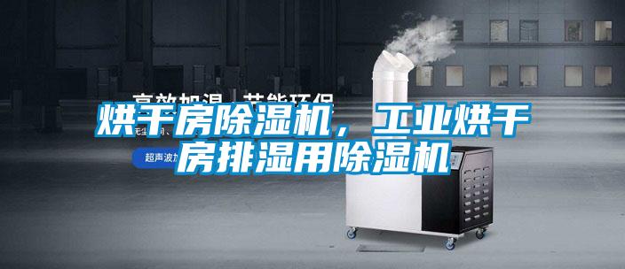 烘干房除濕機(jī),工業(yè)烘干房排濕用除濕機(jī)