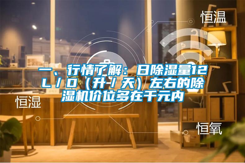 一、行情了解:日除濕量12L/D(升/天)左右的除濕機價位多在千元內
