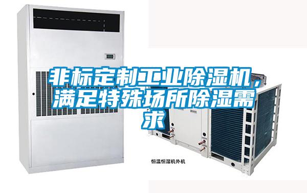 非標(biāo)定制工業(yè)除濕機(jī)，滿足特殊場(chǎng)所除濕需求