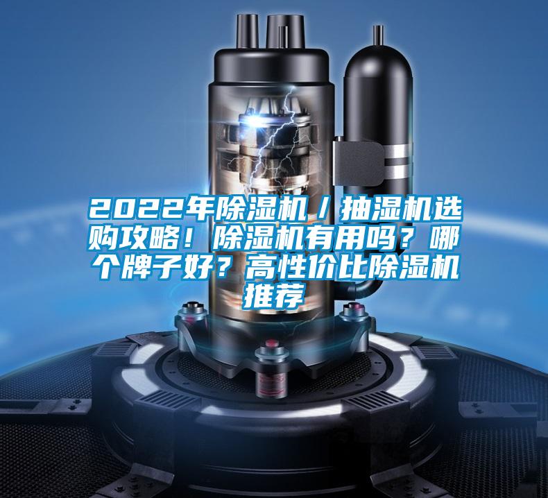 2022年除濕機／抽濕機選購攻略！除濕機有用嗎？哪個牌子好？高性價比除濕機推薦