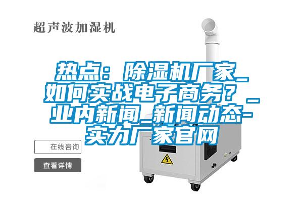 熱點:除濕機廠家_如何實戰電子商務?_業內新聞_新聞動態-實力廠家官網