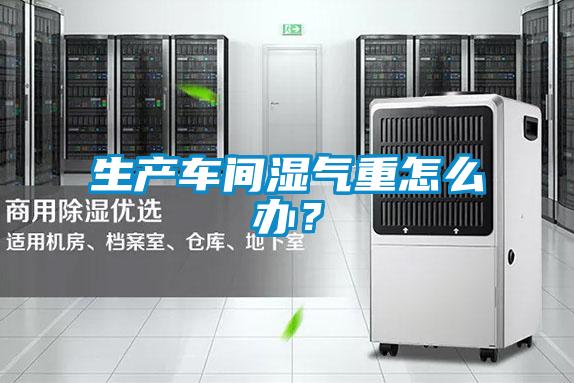 生產(chǎn)車間濕氣重怎么辦？