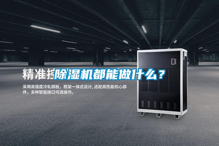 除濕機(jī)都能做什么?