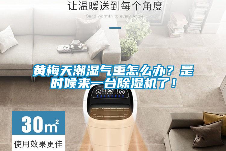 黃梅天潮濕氣重怎么辦？是時候來一臺除濕機了！