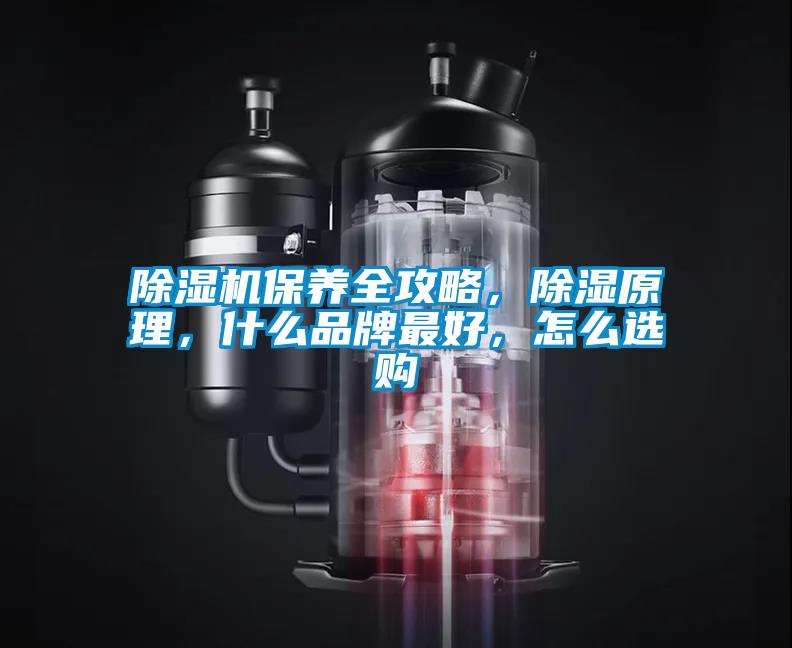 除濕機保養全攻略，除濕原理，什么品牌最好，怎么選購