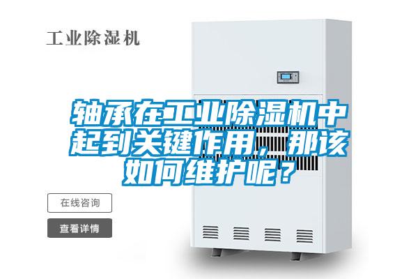 軸承在工業除濕機中起到關鍵作用，那該如何維護呢？