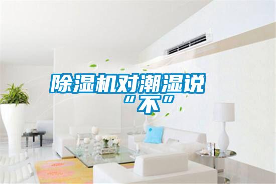 除濕機(jī)對潮濕說“不”