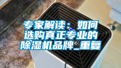 專家解讀：如何選購真正專業(yè)的除濕機(jī)品牌_重復(fù)
