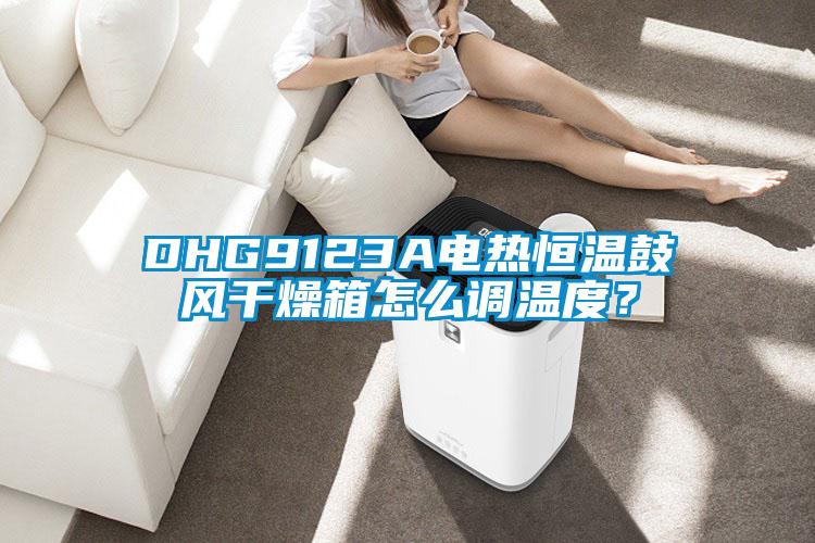 DHG9123A電熱恒溫鼓風(fēng)干燥箱怎么調(diào)溫度?
