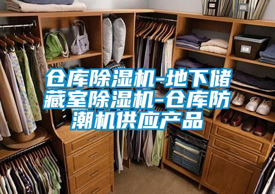 倉庫除濕機(jī)-地下儲藏室除濕機(jī)-倉庫防潮機(jī)供應(yīng)產(chǎn)品