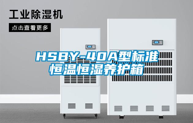 HSBY-40A型標準恒溫恒濕養護箱