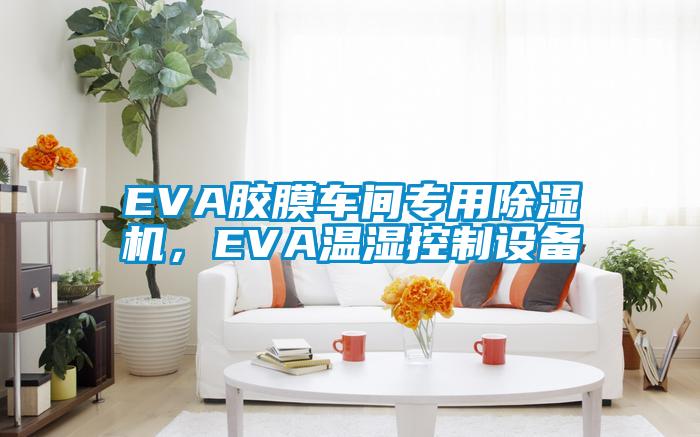 EVA膠膜車間專用除濕機(jī)，EVA溫濕控制設(shè)備