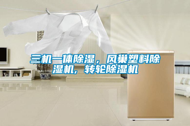 三機(jī)一體除濕,風(fēng)巢塑料除濕機(jī), 轉(zhuǎn)輪除濕機(jī)