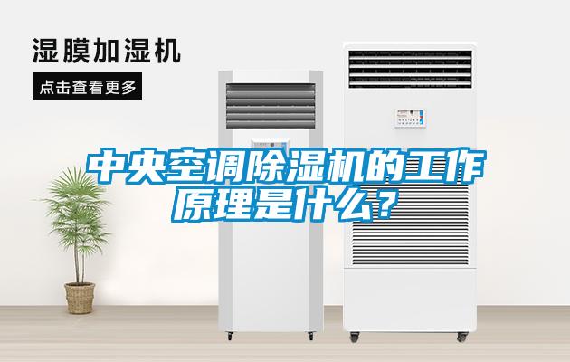 中央空調除濕機的工作原理是什么？