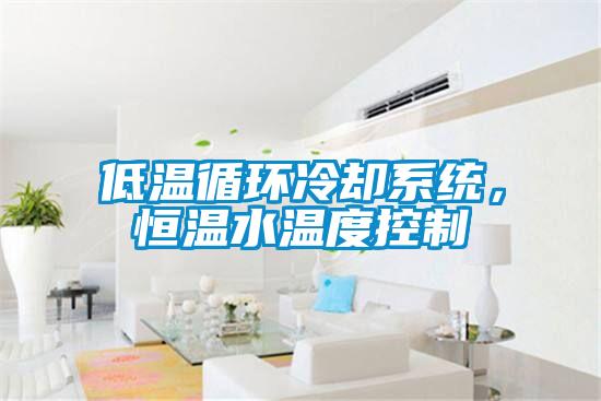 低溫循環(huán)冷卻系統(tǒng),恒溫水溫度控制