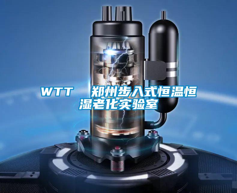 WTT 鄭州步入式恒溫恒濕老化實(shí)驗(yàn)室
