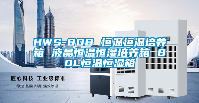 HWS-80B 恒溫恒濕培養箱 液晶恒溫恒濕培養箱 80L恒溫恒濕箱