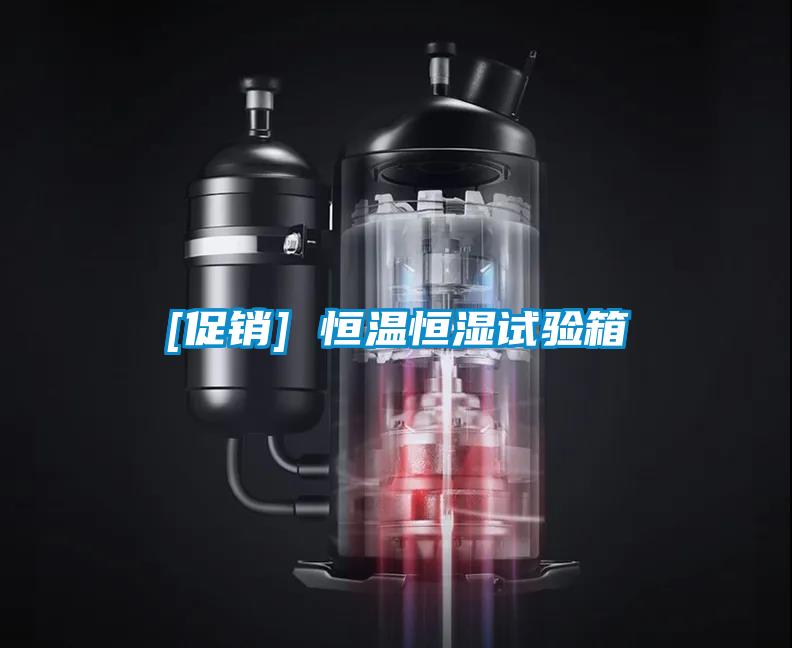 [促銷(xiāo)] 恒溫恒濕試驗(yàn)箱