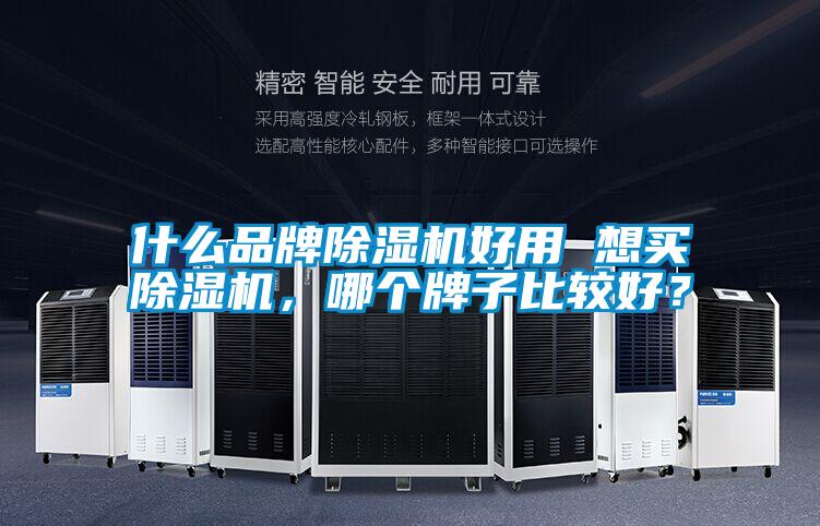 什么品牌除濕機好用 想買除濕機，哪個牌子比較好？