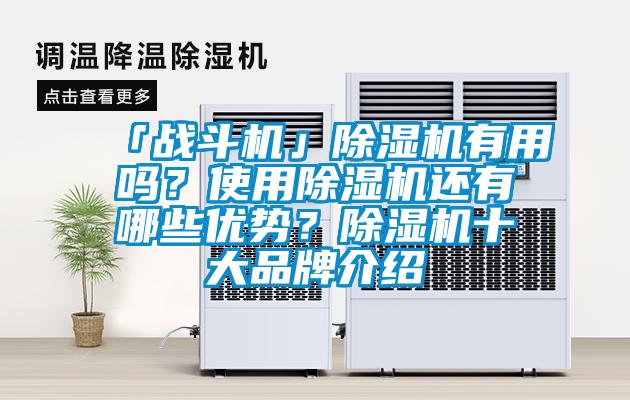 「戰斗機」除濕機有用嗎？使用除濕機還有哪些優勢？除濕機十大品牌介紹