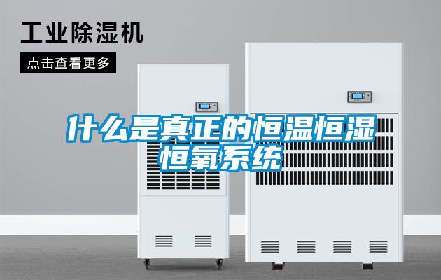 什么是真正的恒溫恒濕恒氧系統