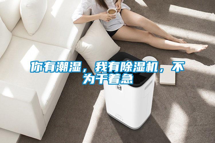 你有潮濕，我有除濕機，不為干著急